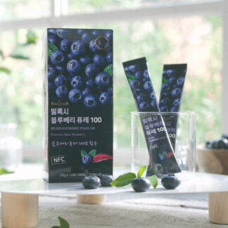 빌록시 블루베리 퓨레 100